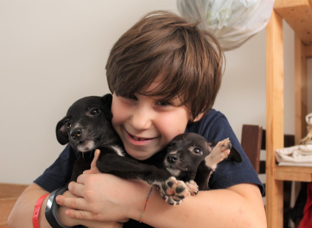 sal rei cani associayzone nerina