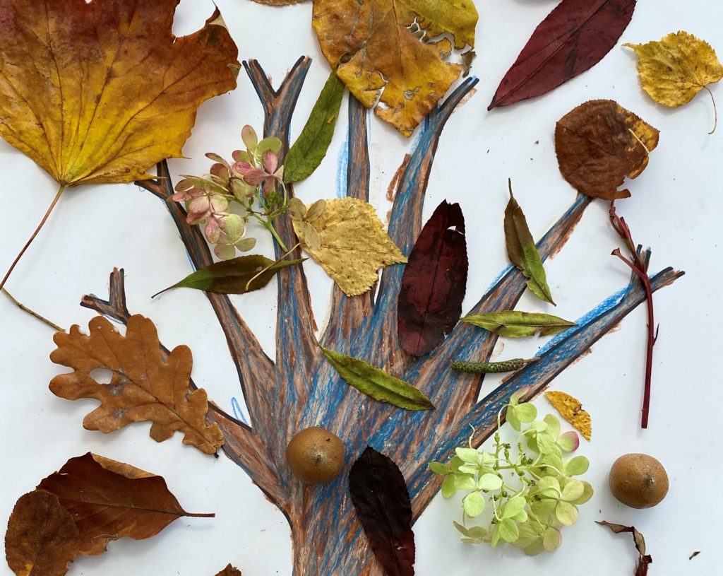 collage di foglie autunnali