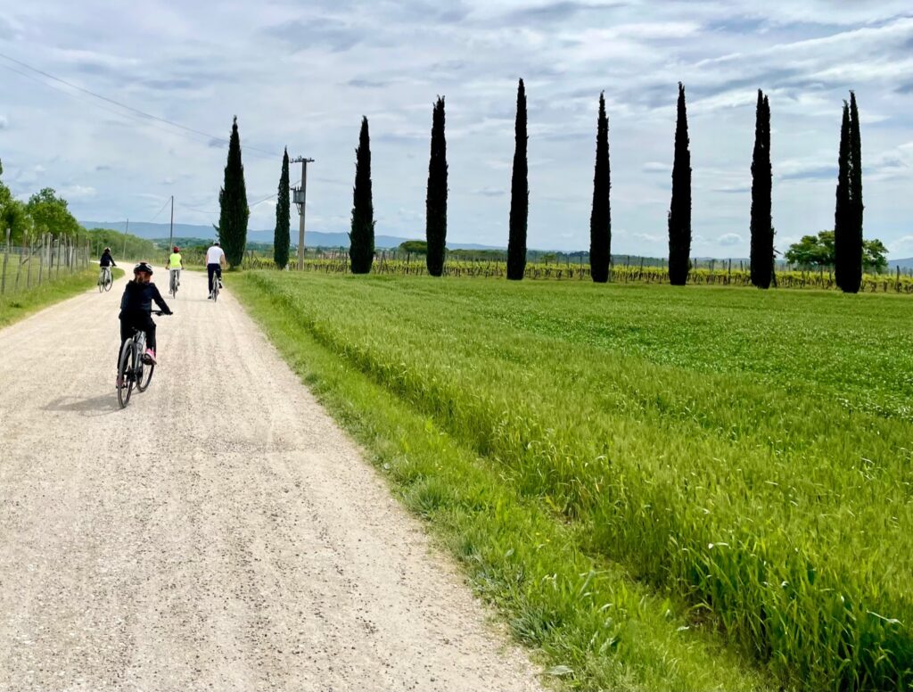 in bicicletta verso Monteriggioni