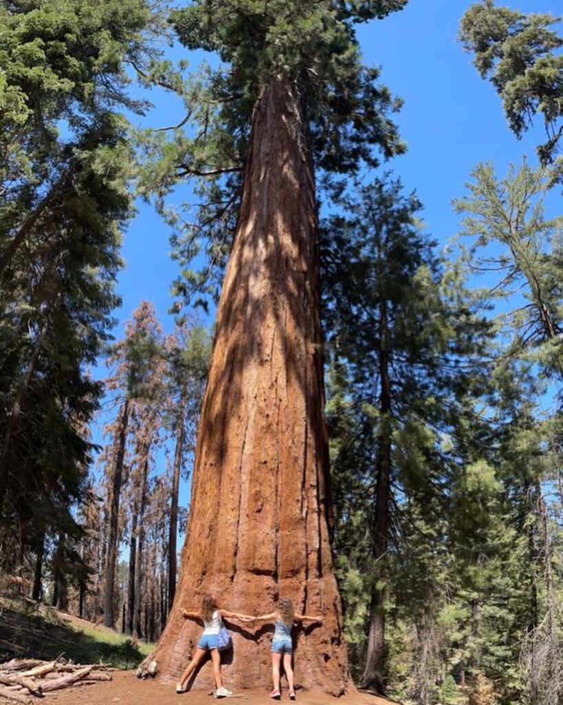Sequoia Park, Stati Uniti