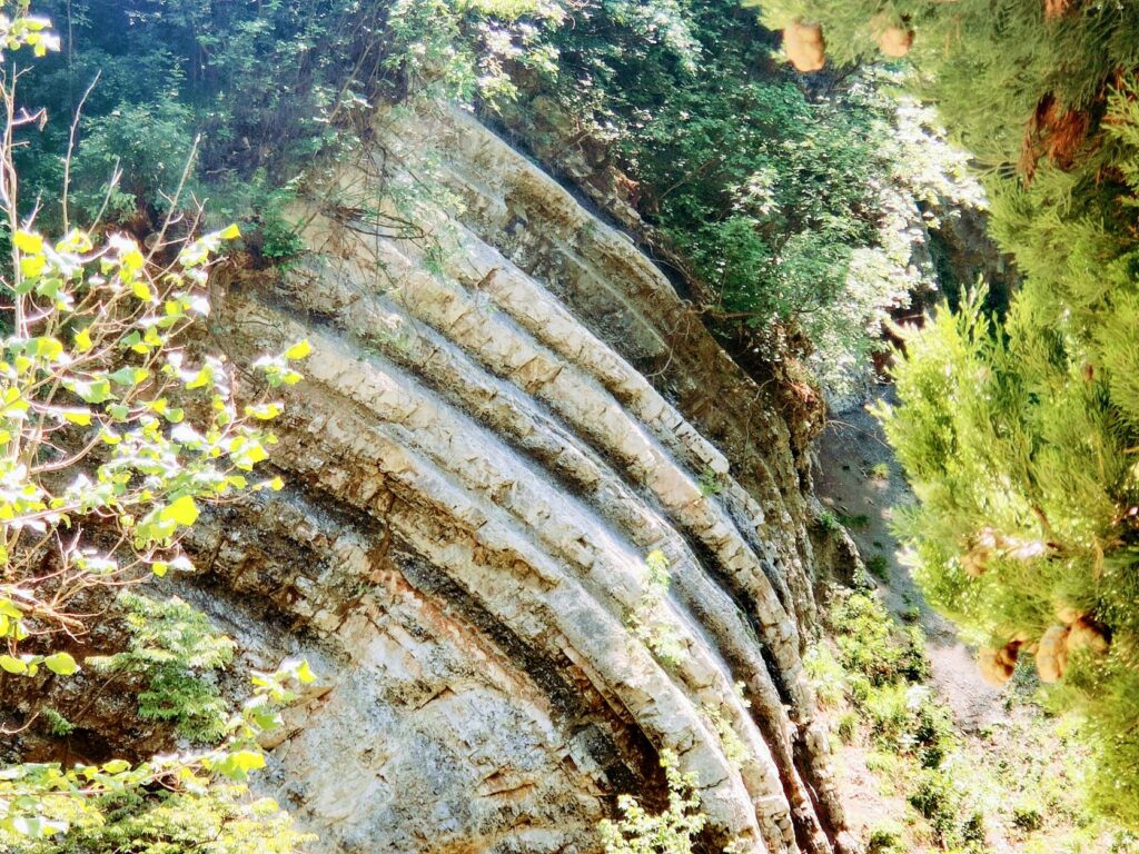 rocce del parco della Breggia