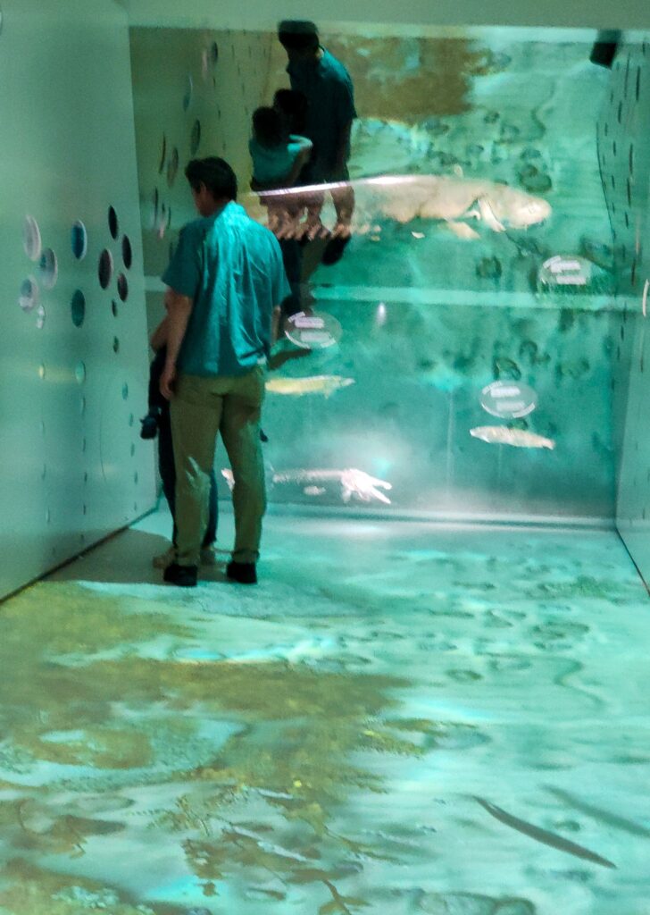 museo storia naturale Neuchâtel