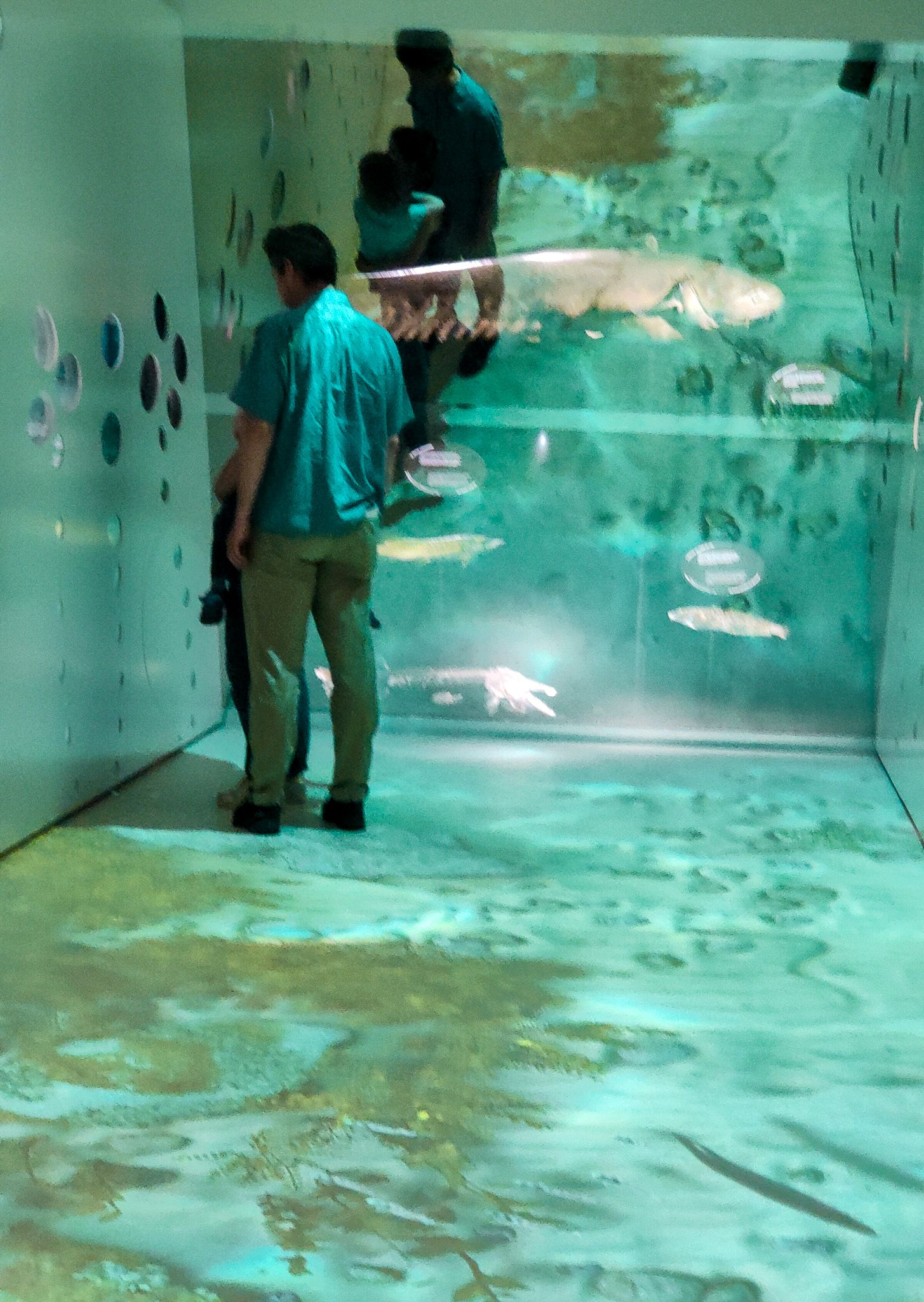 museo storia naturale Neuchâtel