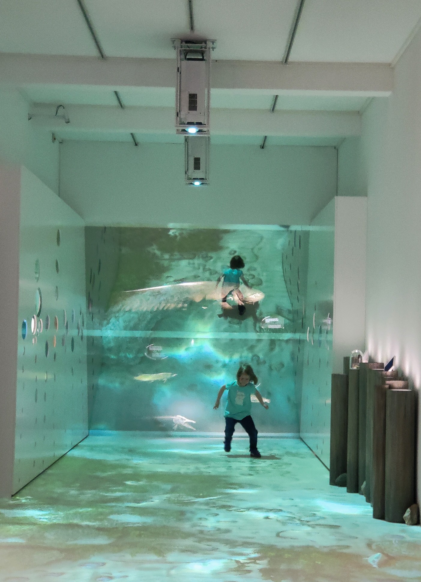 La vita nelle acque museo Neuchâtel