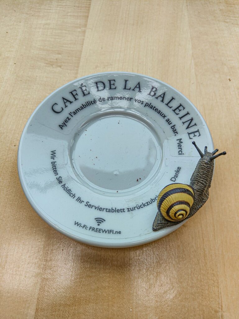 museo Neuchatel, caffè della balena