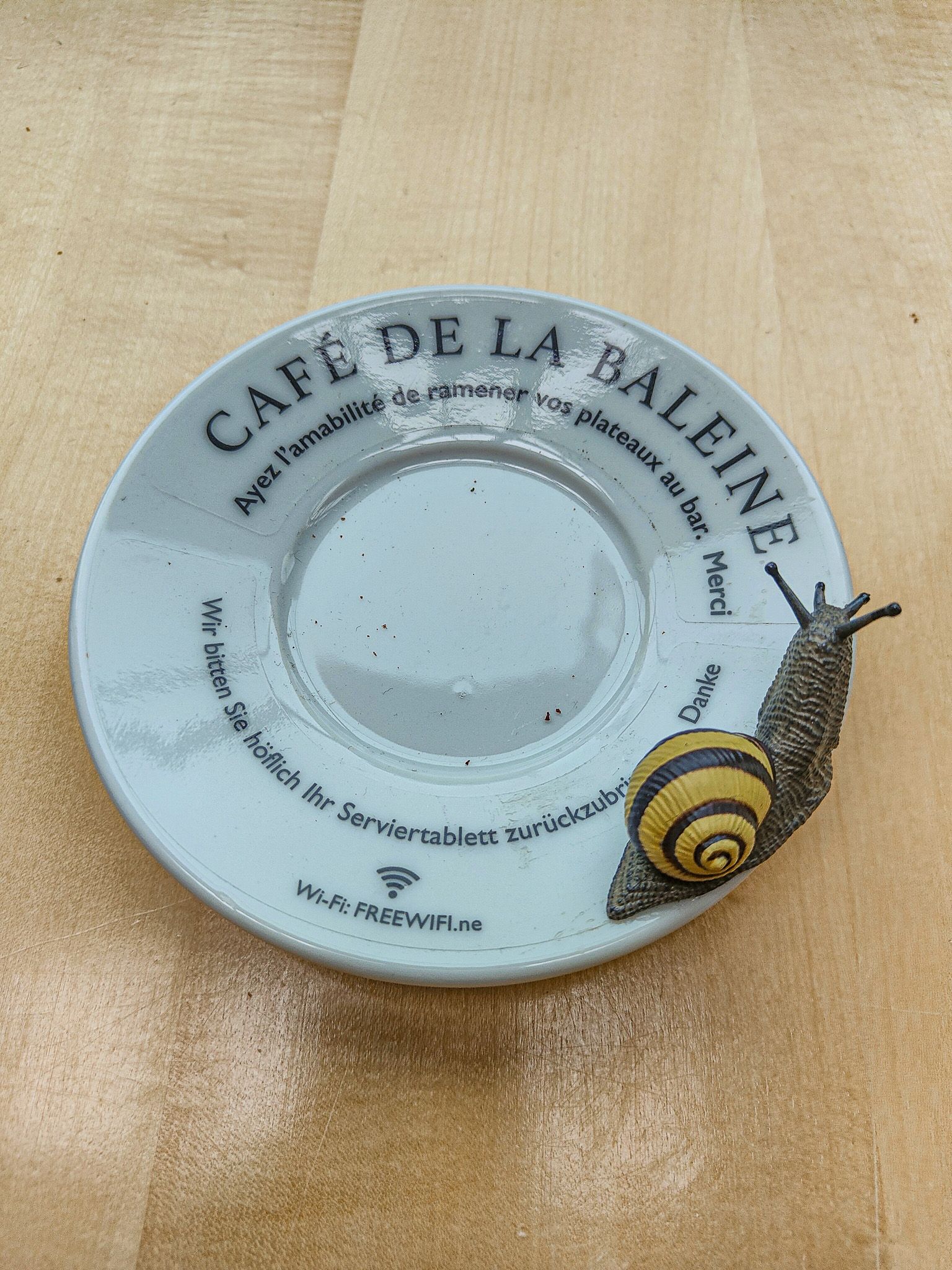 museo Neuchatel, caffè della balena