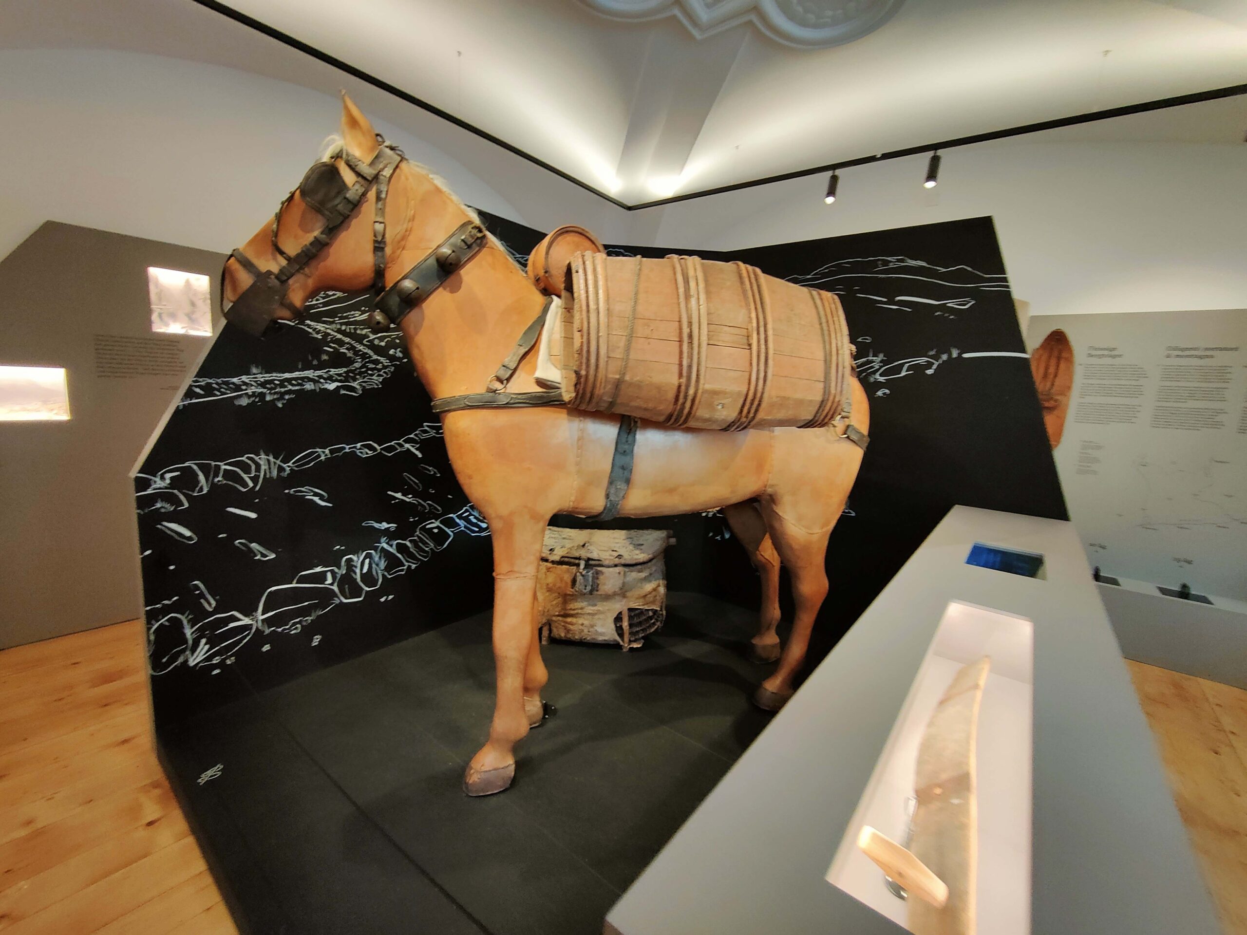 Splügen rheinwald museo