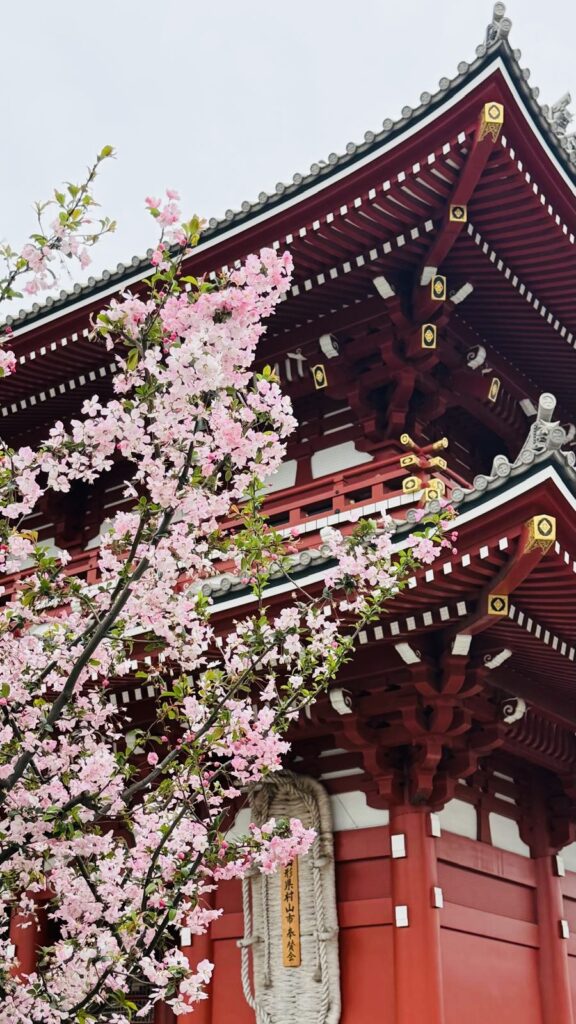 Itinerario Kyoto e Tokyo in 7 giorni