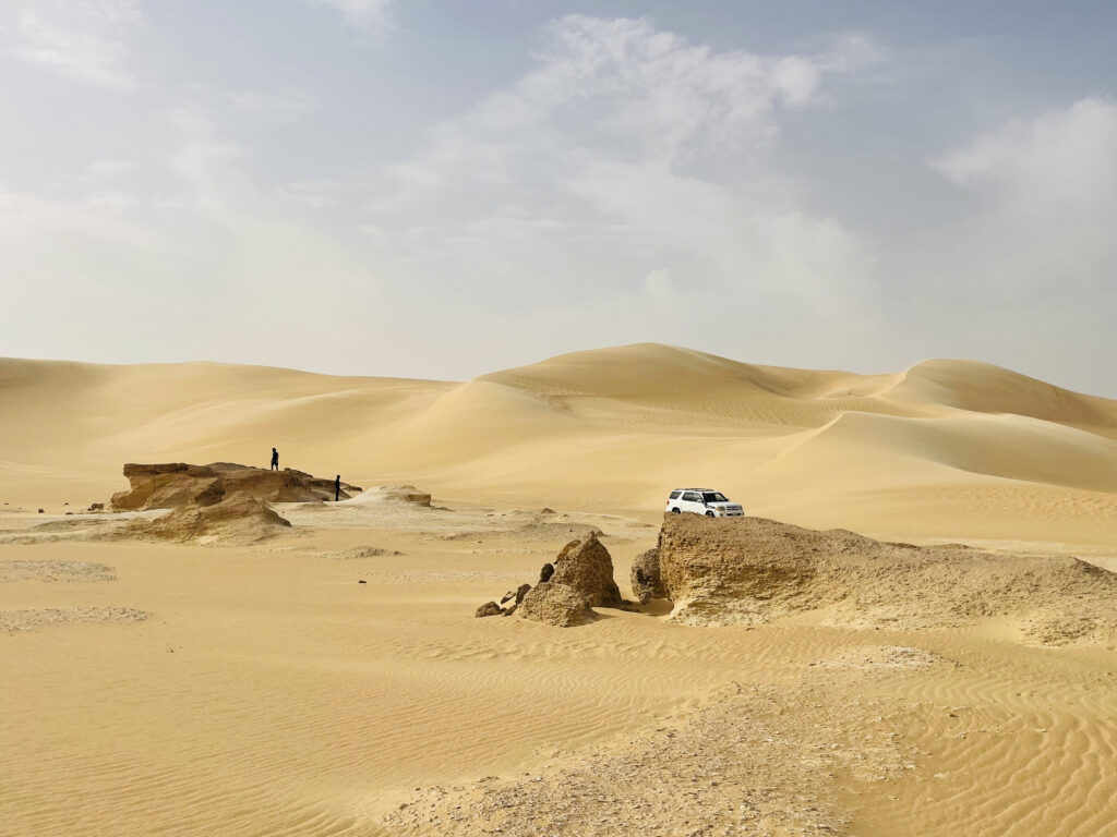 Oasi di Siwa deserto
