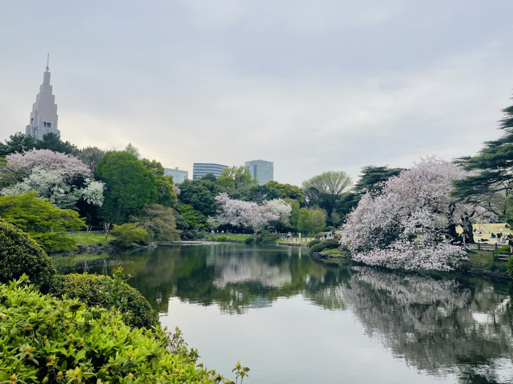 Itinerario Tokyo e Kyoto in 7 giorni per la fioritura ciliegi