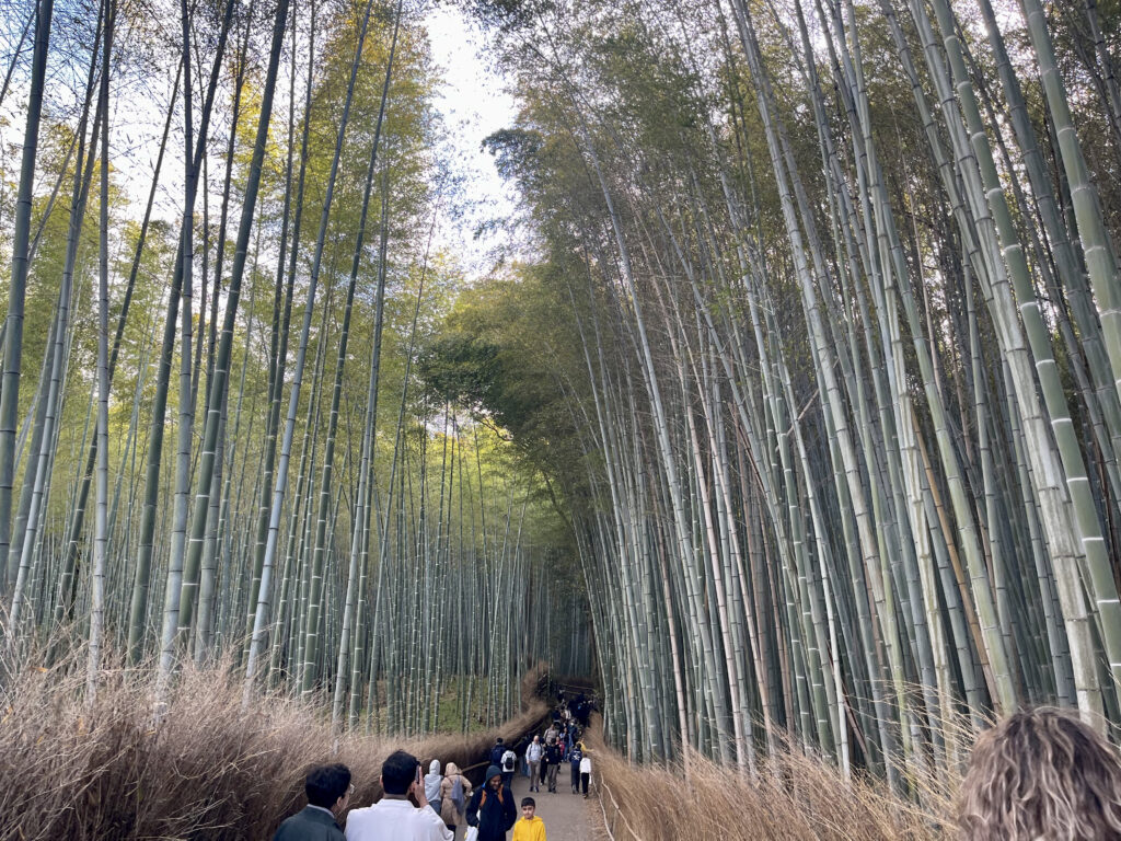 Arashiyama Tokyo e Kyoto in 7 giorni