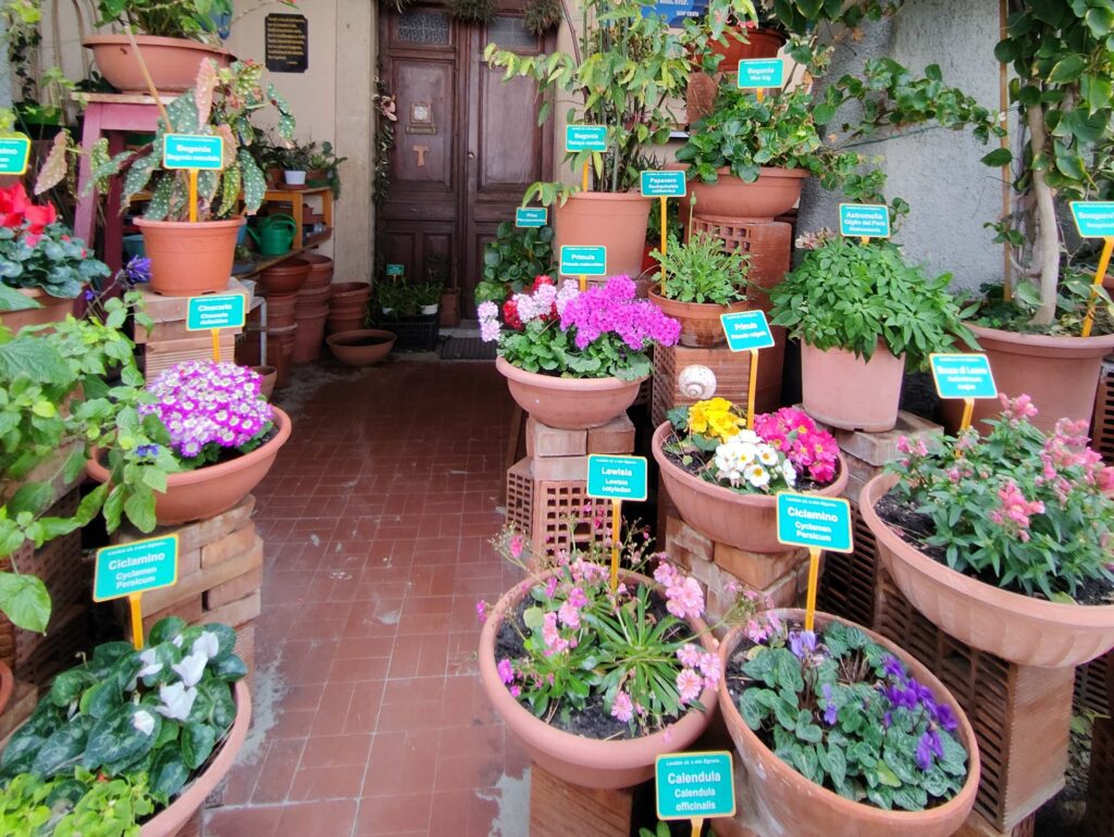cosa vedere a alassio