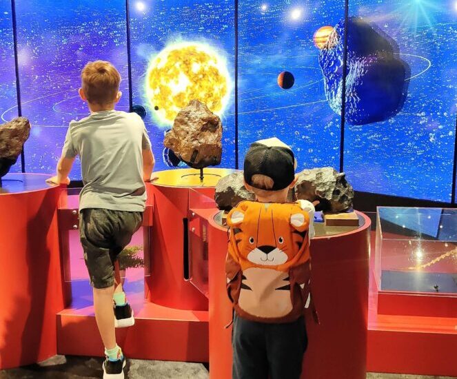 museo dinosauri zurigo
